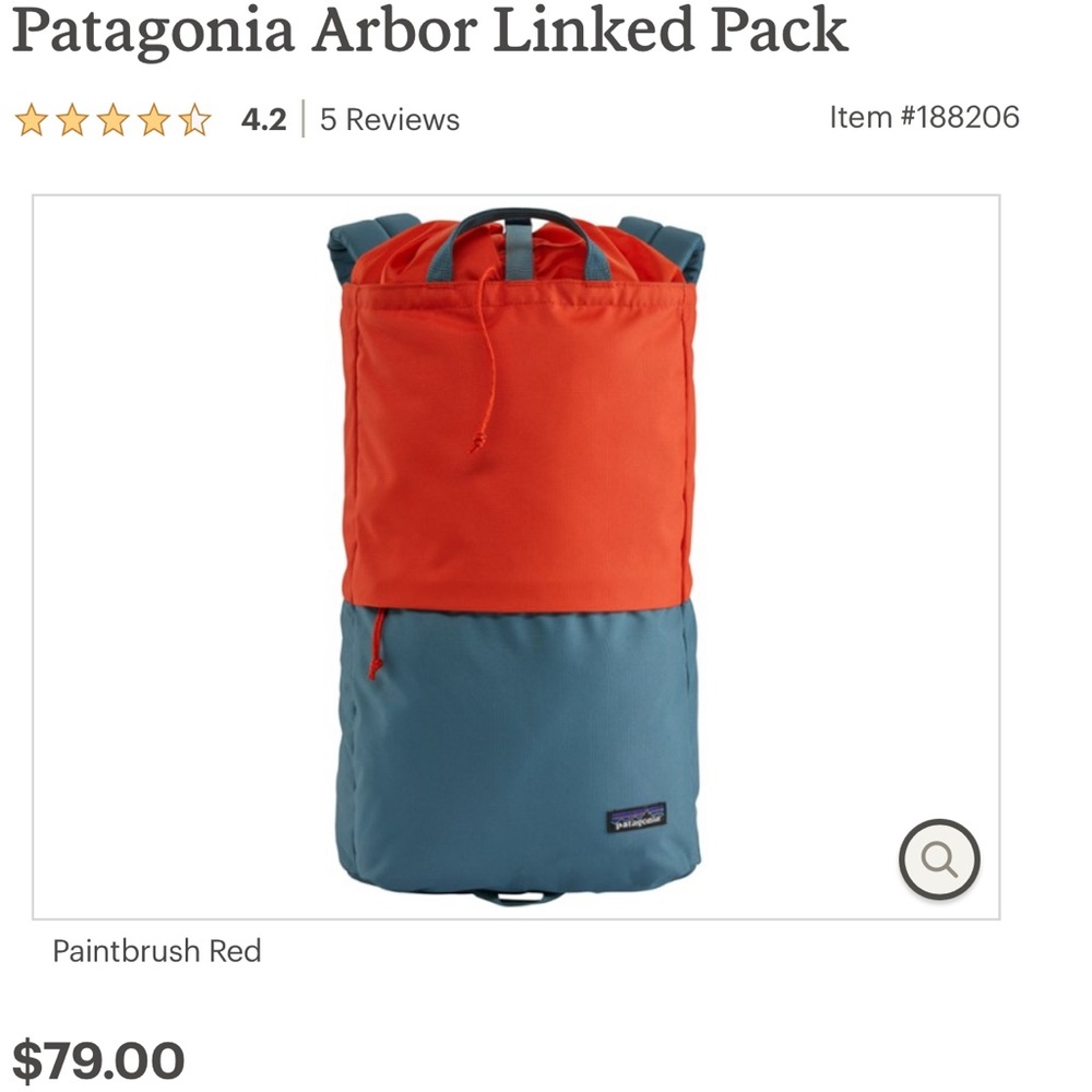 Patagonia Backpack
